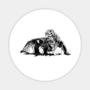 Komodo Dragon Ink Drawing Magnet